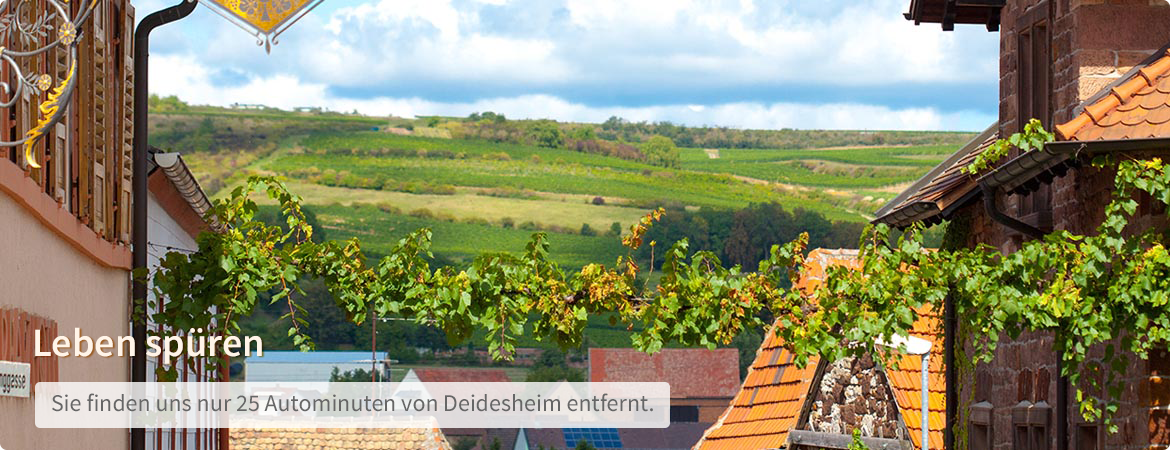 2019-12-12-slider-start-004.png