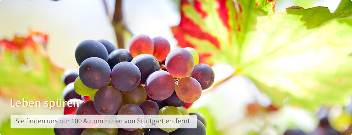 2019-12-12-slider-start-007.png