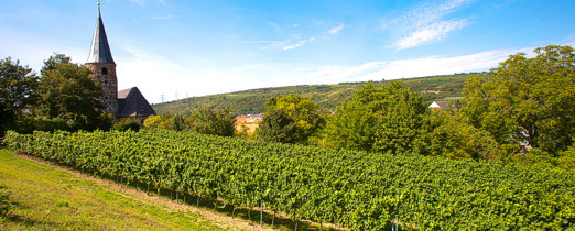 Weinberg