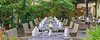 Teaser Sommergarten